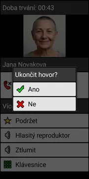 BIG Phone end call dialog screenshot
