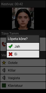 BIG Phone end call dialog screenshot