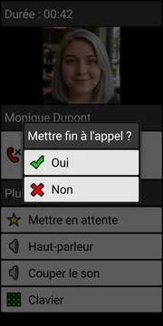 BIG Phone end call dialog screenshot