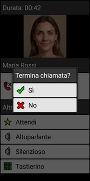 BIG Phone end call dialog screenshot