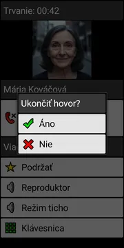 BIG Phone end call dialog screenshot