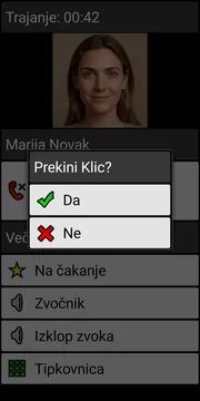 BIG Phone end call dialog screenshot