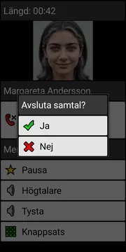 BIG Phone end call dialog screenshot