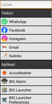 BIG Launcher apps screenshot