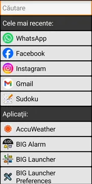 BIG Launcher apps screenshot